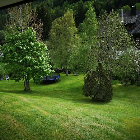 B1 Albmatte-Fewo Sauna, Hallenbad Aussenbecken Massagen Nebenan Menzenschwand-Hinterdorf Exteriér fotografie