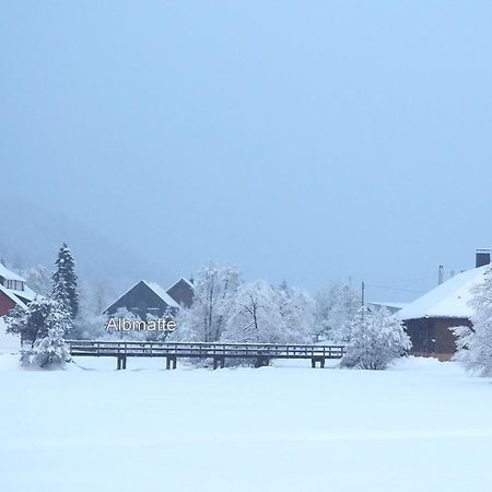 B1 Albmatte-Fewo Sauna, Hallenbad Aussenbecken Massagen Nebenan Menzenschwand-Hinterdorf Exteriér fotografie