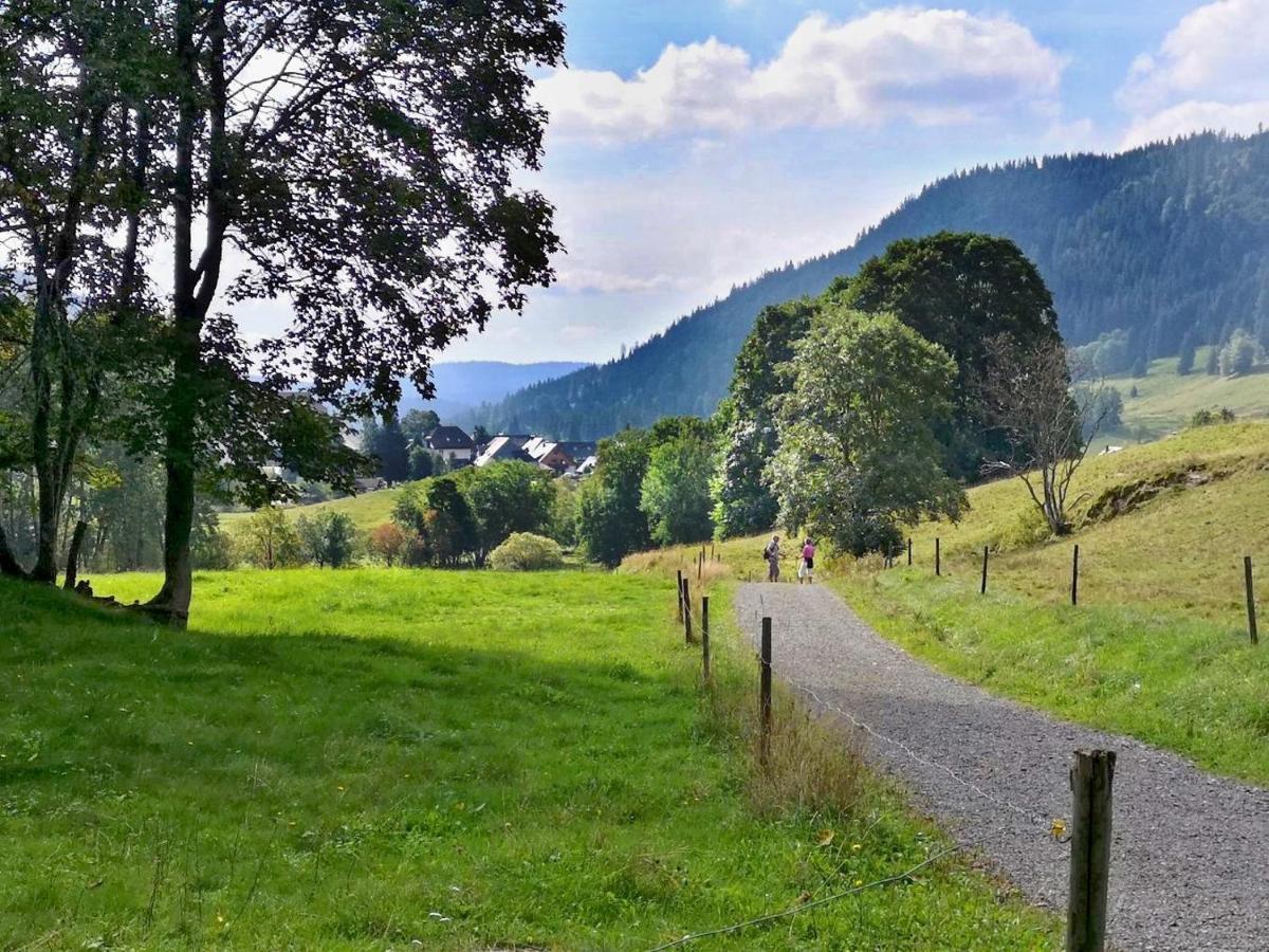 B1 Albmatte-Fewo Sauna, Hallenbad Aussenbecken Massagen Nebenan Menzenschwand-Hinterdorf Exteriér fotografie