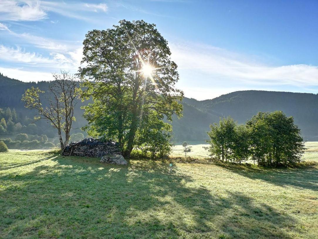 B1 Albmatte-Fewo Sauna, Hallenbad Aussenbecken Massagen Nebenan Menzenschwand-Hinterdorf Exteriér fotografie