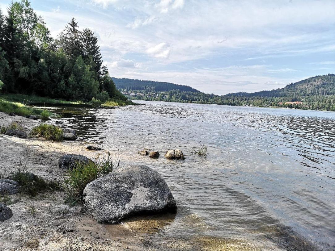 B1 Albmatte-Fewo Sauna, Hallenbad Aussenbecken Massagen Nebenan Menzenschwand-Hinterdorf Exteriér fotografie