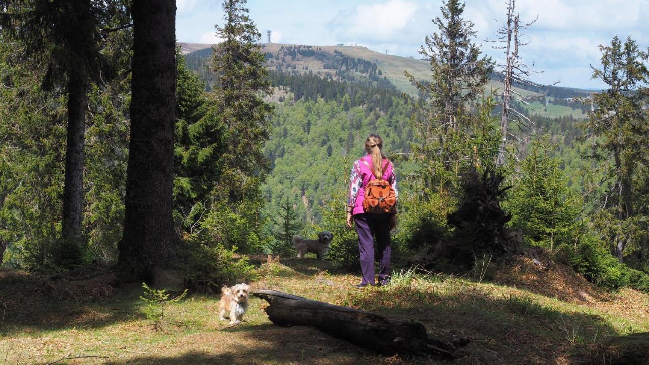 B1 Albmatte-Fewo Sauna, Hallenbad Aussenbecken Massagen Nebenan Menzenschwand-Hinterdorf Exteriér fotografie