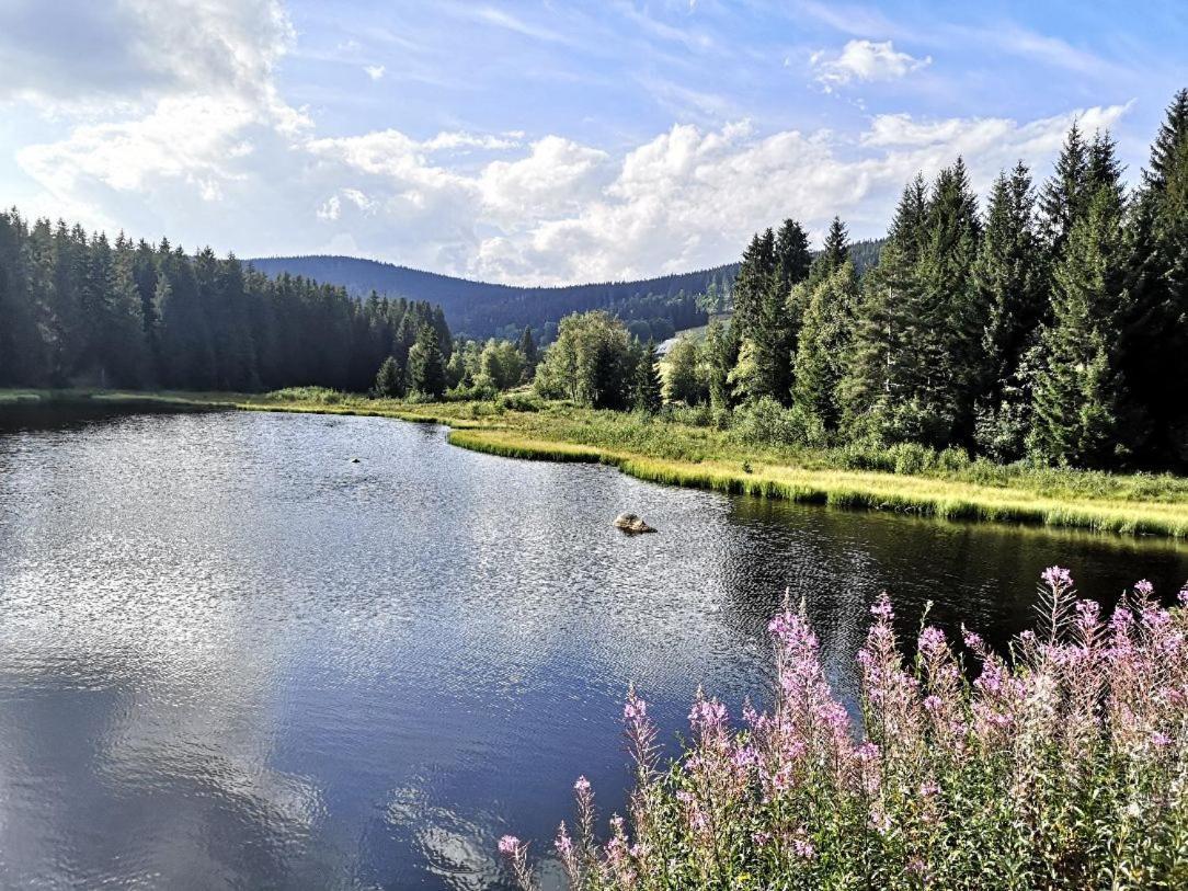 B1 Albmatte-Fewo Sauna, Hallenbad Aussenbecken Massagen Nebenan Menzenschwand-Hinterdorf Exteriér fotografie