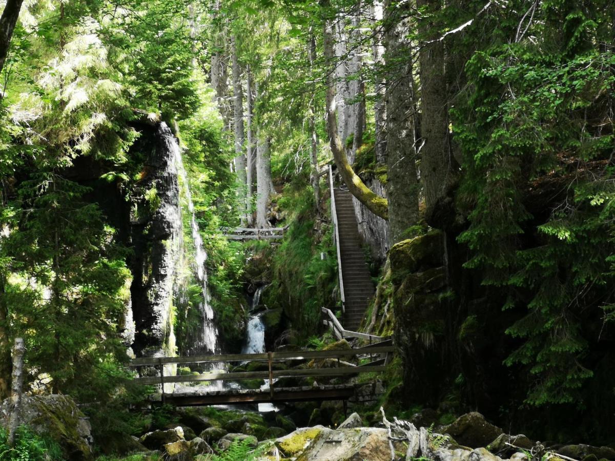 B1 Albmatte-Fewo Sauna, Hallenbad Aussenbecken Massagen Nebenan Menzenschwand-Hinterdorf Exteriér fotografie