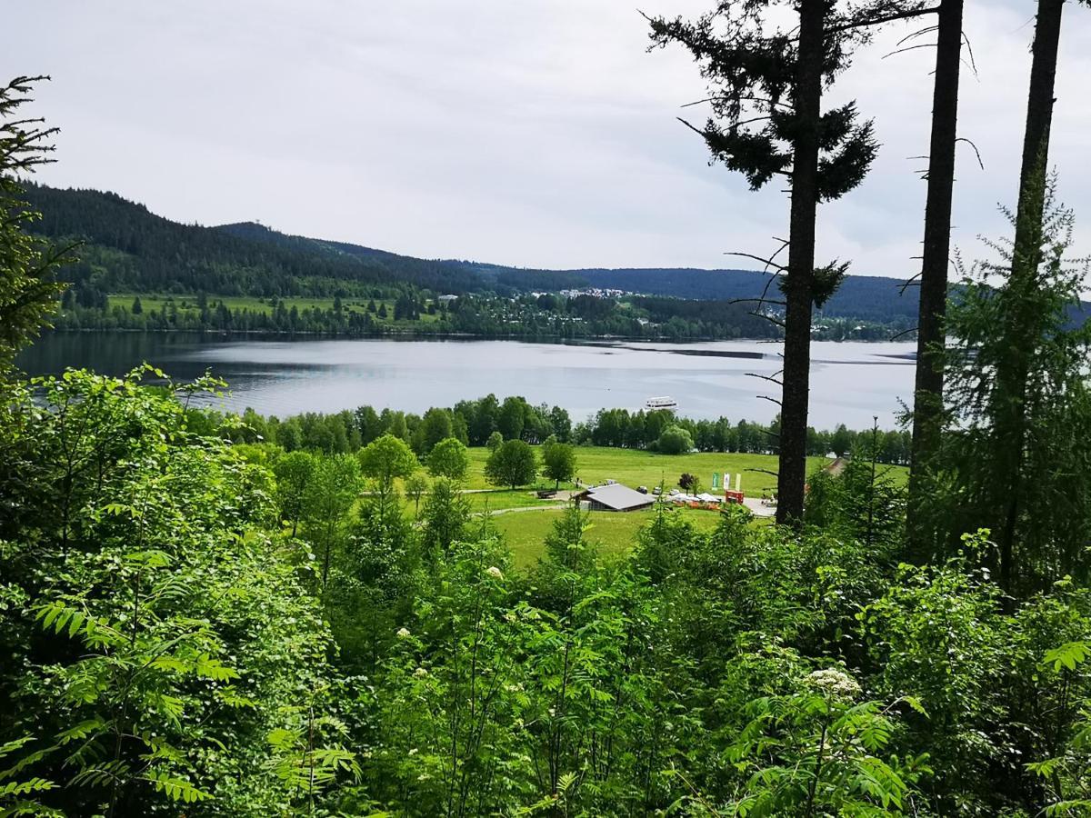 B1 Albmatte-Fewo Sauna, Hallenbad Aussenbecken Massagen Nebenan Menzenschwand-Hinterdorf Exteriér fotografie