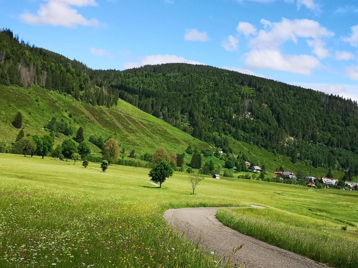 B1 Albmatte-Fewo Sauna, Hallenbad Aussenbecken Massagen Nebenan Menzenschwand-Hinterdorf Exteriér fotografie