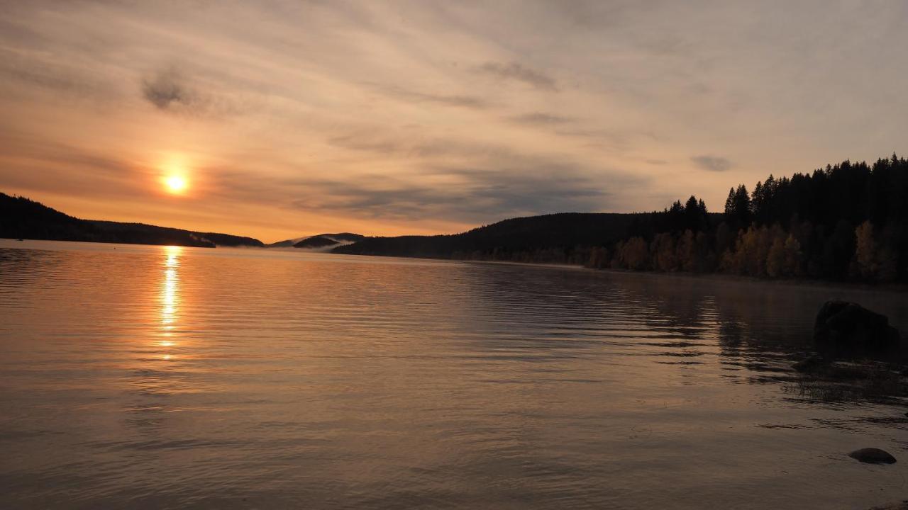 B1 Albmatte-Fewo Sauna, Hallenbad Aussenbecken Massagen Nebenan Menzenschwand-Hinterdorf Exteriér fotografie