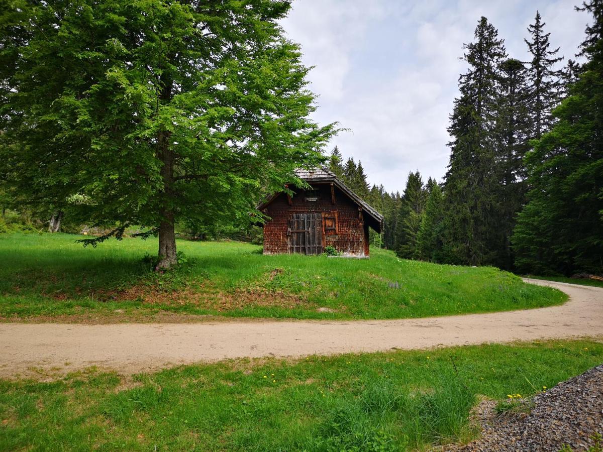 B1 Albmatte-Fewo Sauna, Hallenbad Aussenbecken Massagen Nebenan Menzenschwand-Hinterdorf Exteriér fotografie