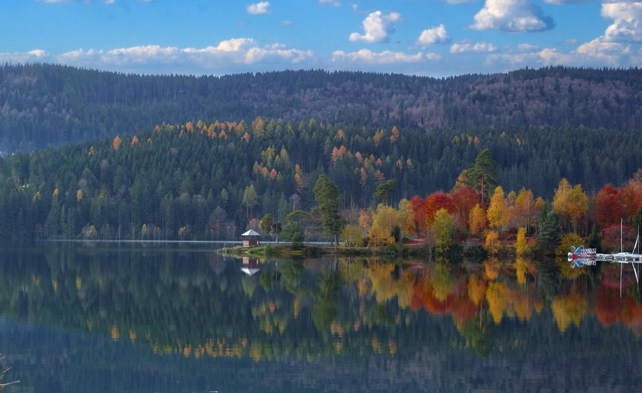 B1 Albmatte-Fewo Sauna, Hallenbad Aussenbecken Massagen Nebenan Menzenschwand-Hinterdorf Exteriér fotografie