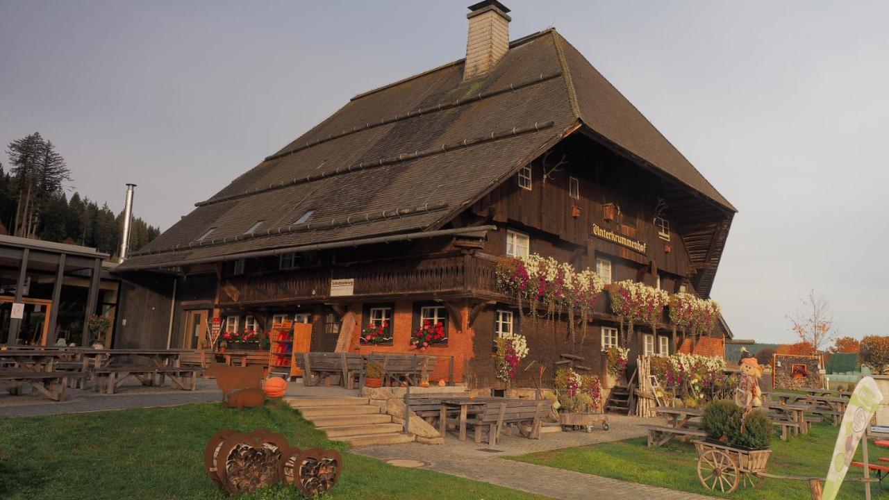 B1 Albmatte-Fewo Sauna, Hallenbad Aussenbecken Massagen Nebenan Menzenschwand-Hinterdorf Exteriér fotografie