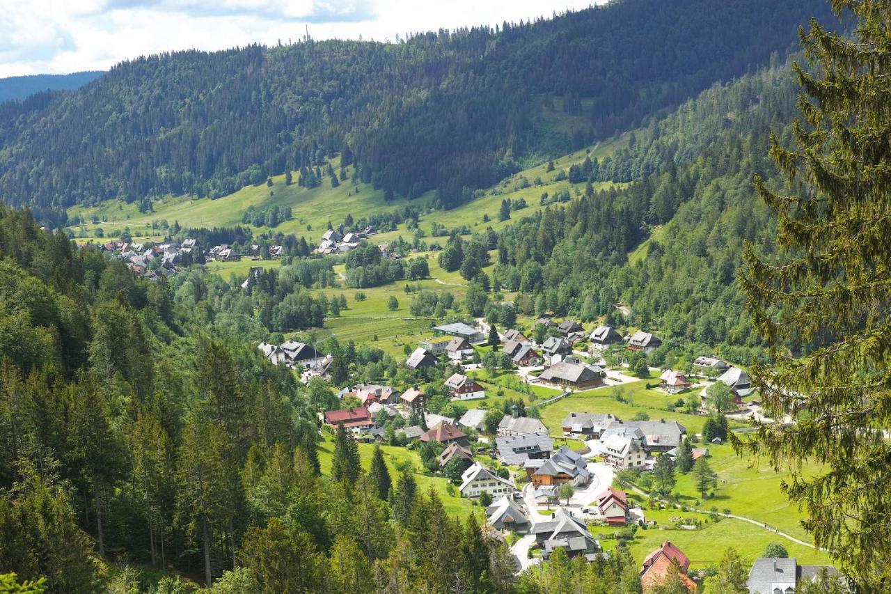 B1 Albmatte-Fewo Sauna, Hallenbad Aussenbecken Massagen Nebenan Menzenschwand-Hinterdorf Exteriér fotografie