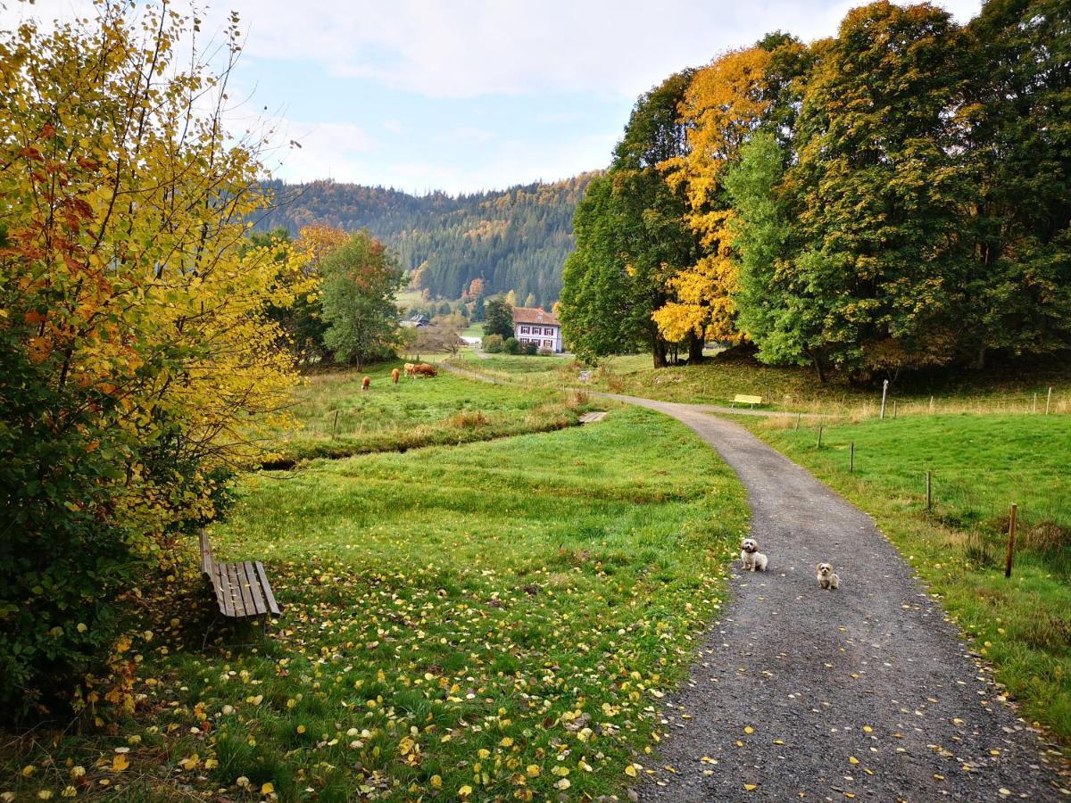 B1 Albmatte-Fewo Sauna, Hallenbad Aussenbecken Massagen Nebenan Menzenschwand-Hinterdorf Exteriér fotografie