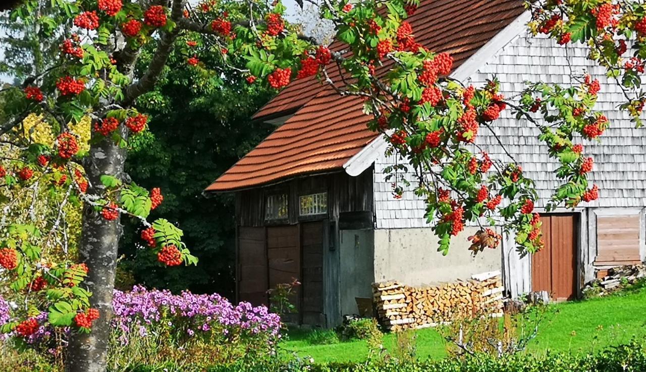 B1 Albmatte-Fewo Sauna, Hallenbad Aussenbecken Massagen Nebenan Menzenschwand-Hinterdorf Exteriér fotografie