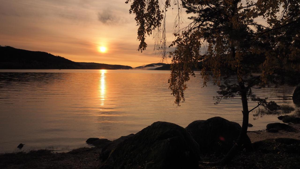 B1 Albmatte-Fewo Sauna, Hallenbad Aussenbecken Massagen Nebenan Menzenschwand-Hinterdorf Exteriér fotografie