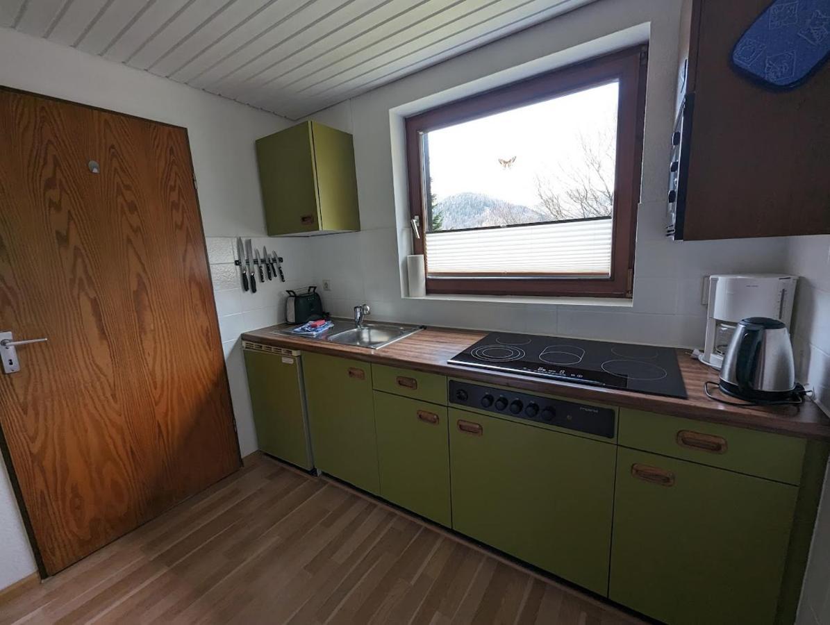B1 Albmatte-Fewo Sauna, Hallenbad Aussenbecken Massagen Nebenan Menzenschwand-Hinterdorf Exteriér fotografie