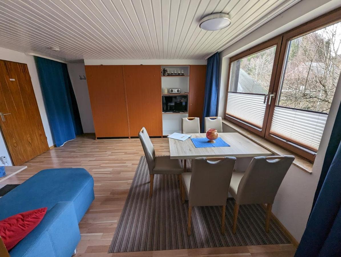 B1 Albmatte-Fewo Sauna, Hallenbad Aussenbecken Massagen Nebenan Menzenschwand-Hinterdorf Exteriér fotografie