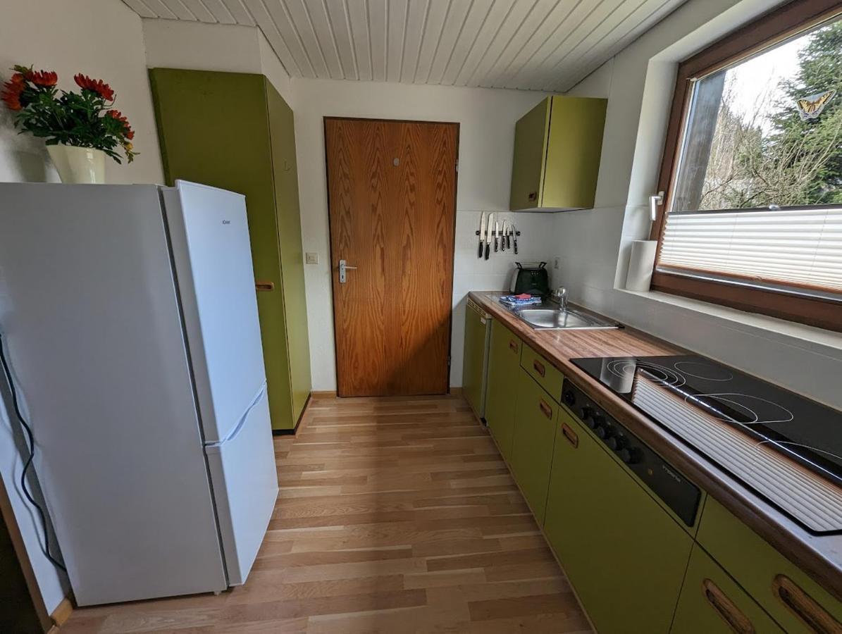 B1 Albmatte-Fewo Sauna, Hallenbad Aussenbecken Massagen Nebenan Menzenschwand-Hinterdorf Exteriér fotografie
