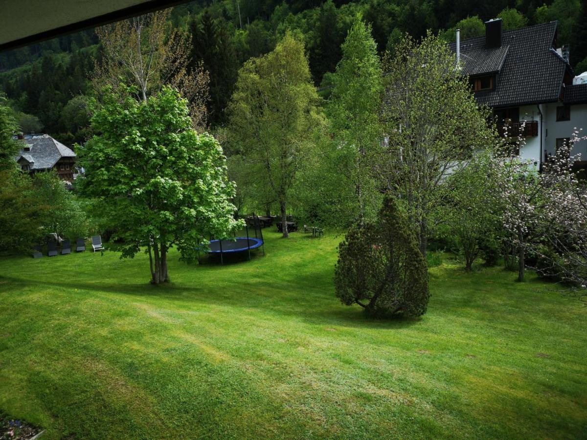 B1 Albmatte-Fewo Sauna, Hallenbad Aussenbecken Massagen Nebenan Menzenschwand-Hinterdorf Exteriér fotografie