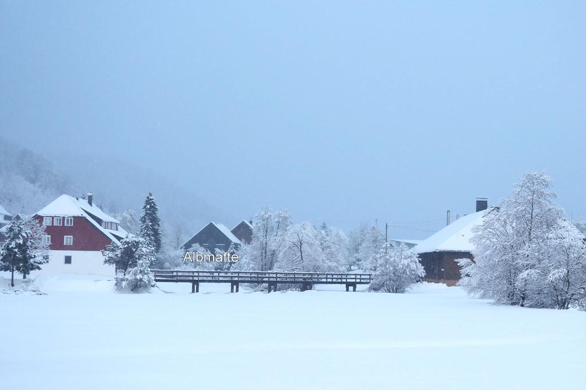 B1 Albmatte-Fewo Sauna, Hallenbad Aussenbecken Massagen Nebenan Menzenschwand-Hinterdorf Exteriér fotografie