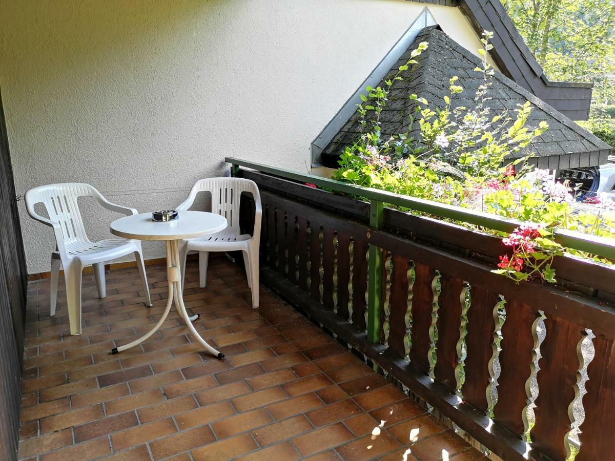 B1 Albmatte-Fewo Sauna, Hallenbad Aussenbecken Massagen Nebenan Menzenschwand-Hinterdorf Exteriér fotografie