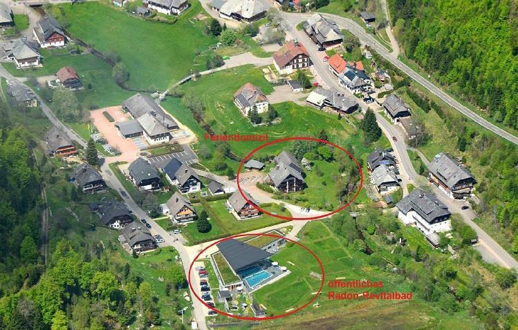 B1 Albmatte-Fewo Sauna, Hallenbad Aussenbecken Massagen Nebenan Menzenschwand-Hinterdorf Exteriér fotografie