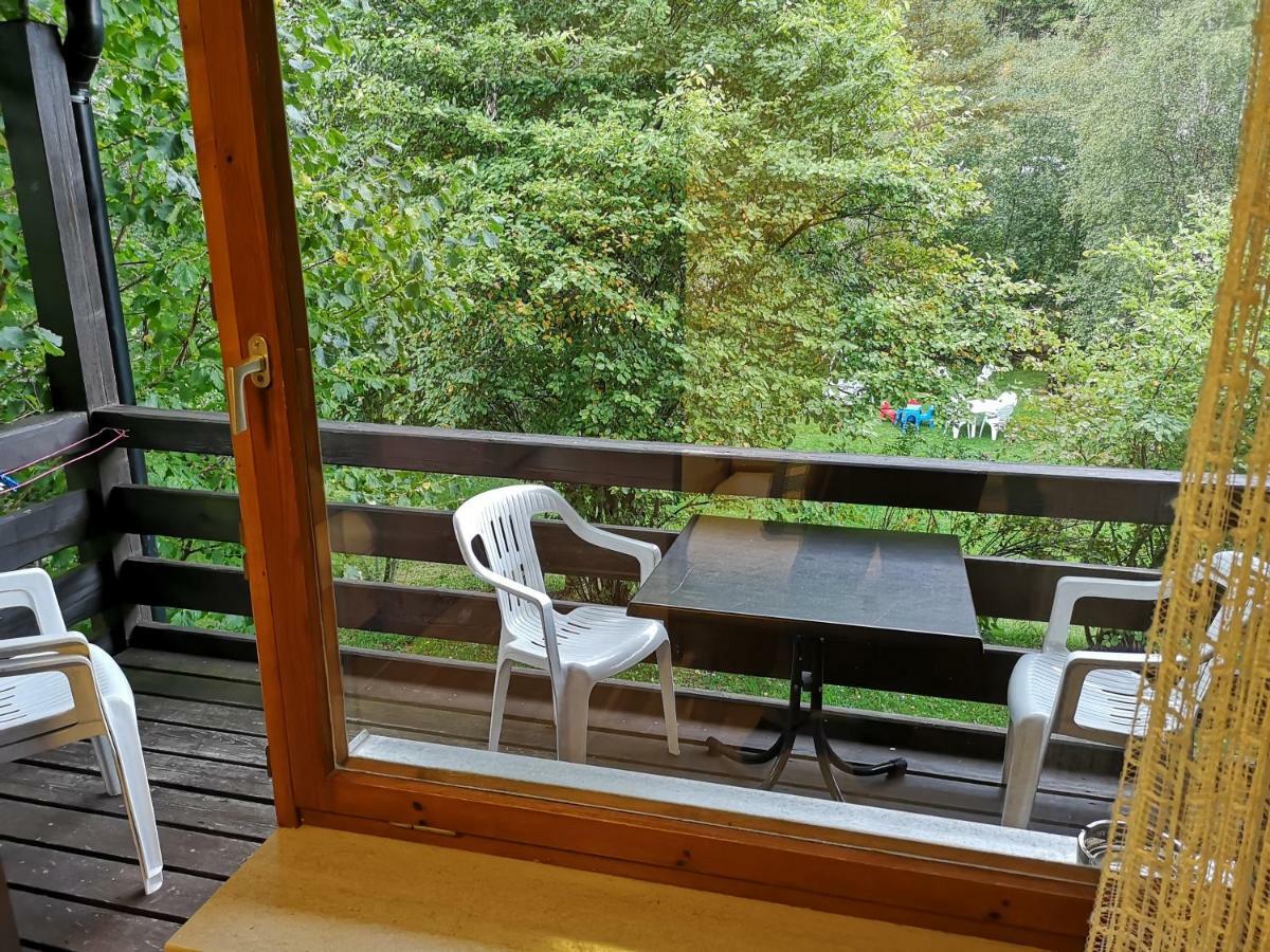 B1 Albmatte-Fewo Sauna, Hallenbad Aussenbecken Massagen Nebenan Menzenschwand-Hinterdorf Exteriér fotografie