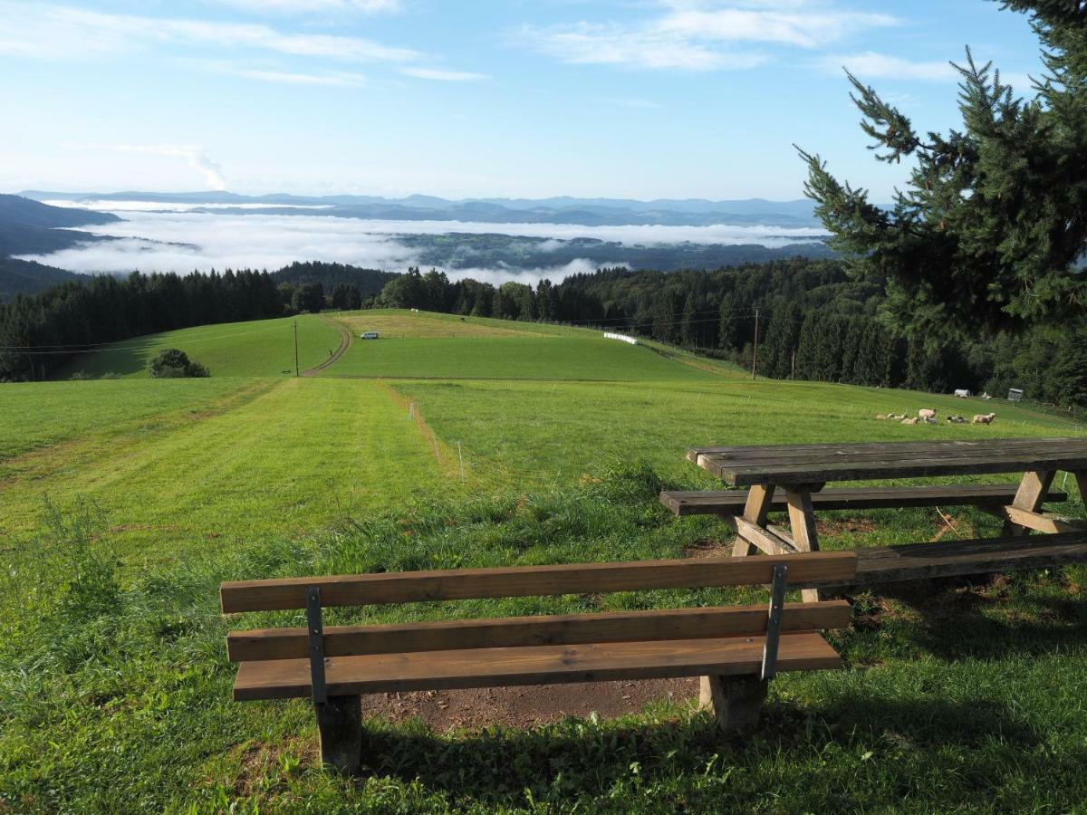 B1 Albmatte-Fewo Sauna, Hallenbad Aussenbecken Massagen Nebenan Menzenschwand-Hinterdorf Exteriér fotografie