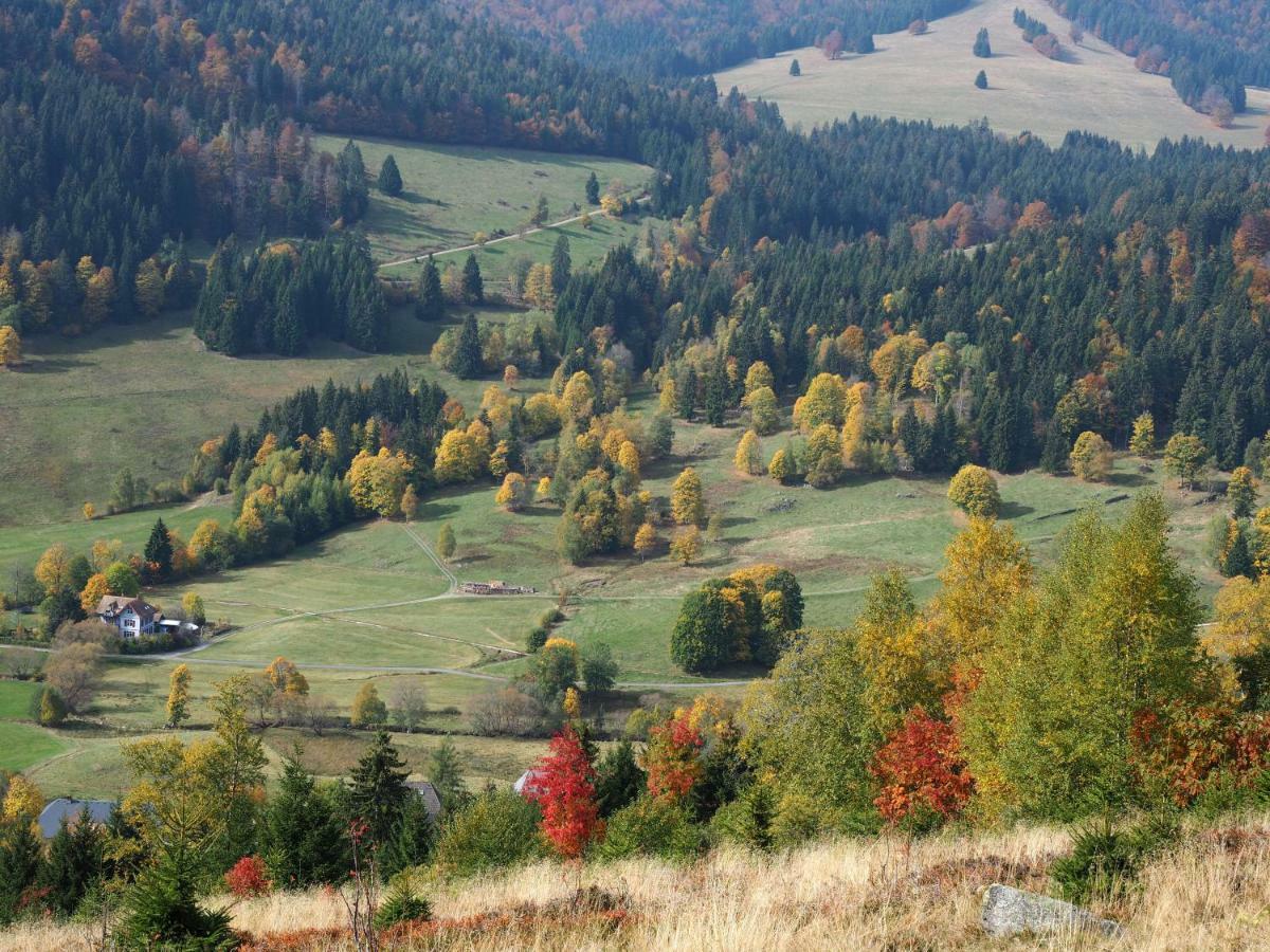 B1 Albmatte-Fewo Sauna, Hallenbad Aussenbecken Massagen Nebenan Menzenschwand-Hinterdorf Exteriér fotografie