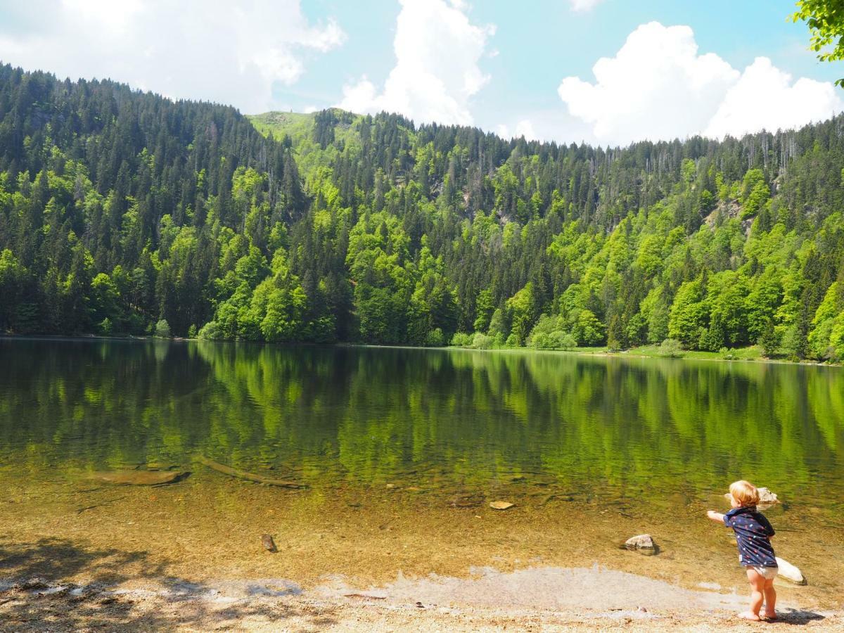B1 Albmatte-Fewo Sauna, Hallenbad Aussenbecken Massagen Nebenan Menzenschwand-Hinterdorf Exteriér fotografie