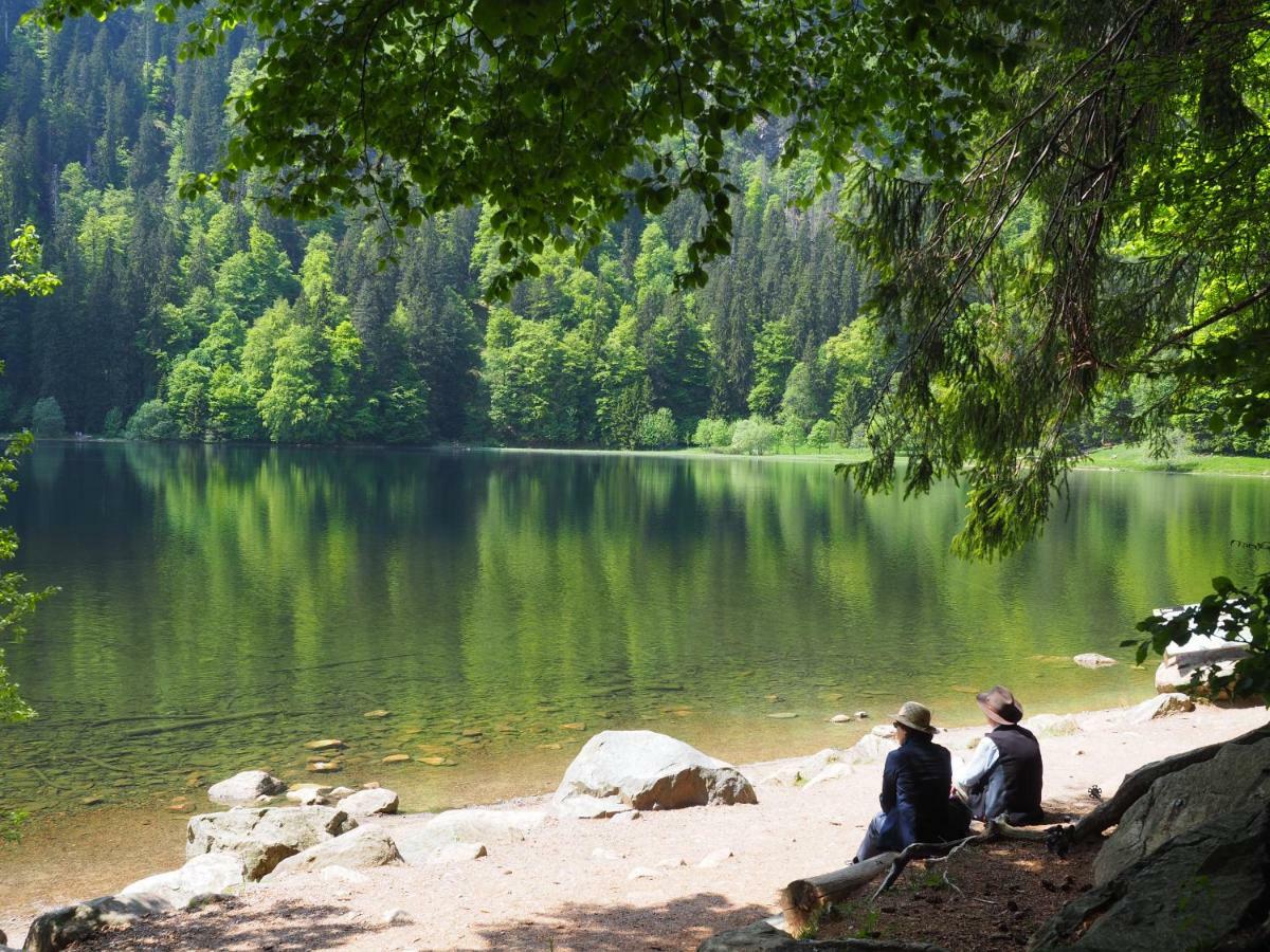 B1 Albmatte-Fewo Sauna, Hallenbad Aussenbecken Massagen Nebenan Menzenschwand-Hinterdorf Exteriér fotografie