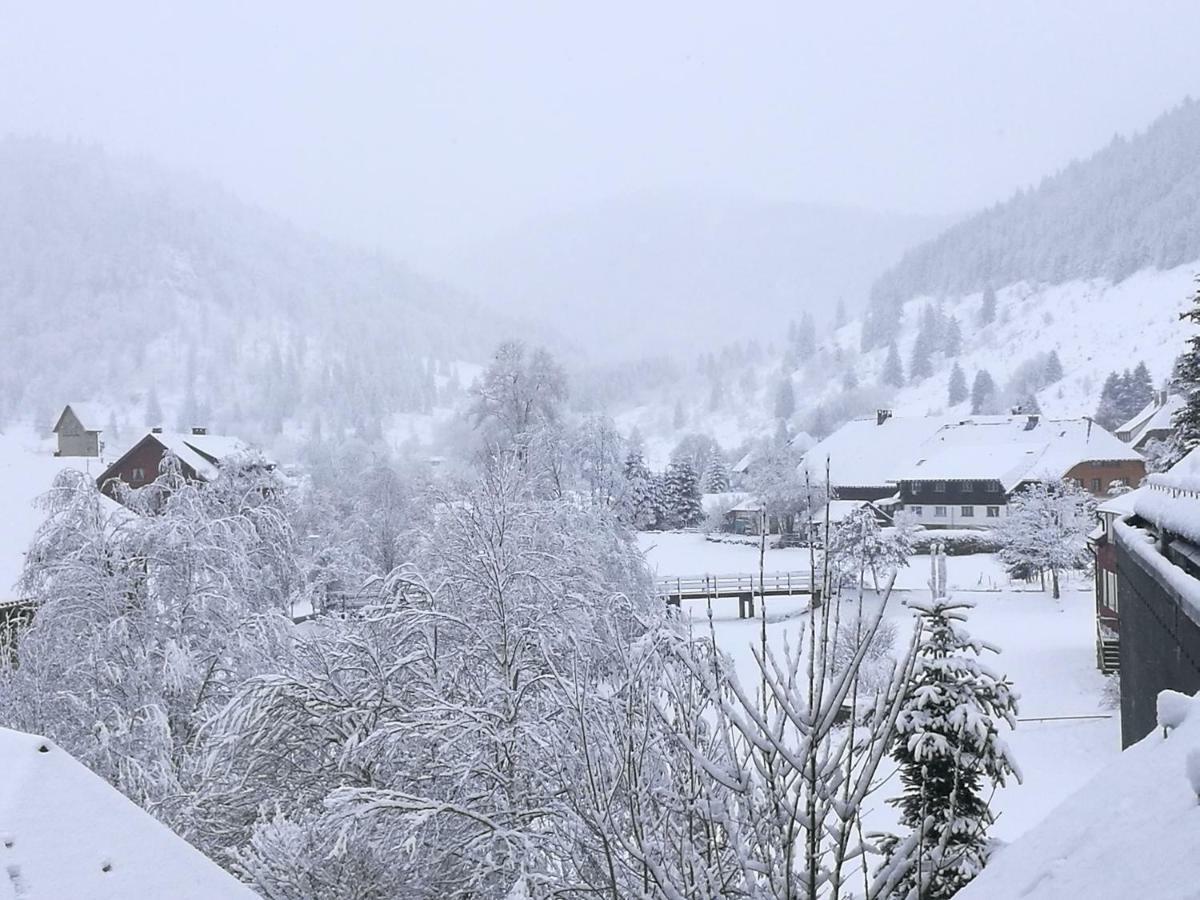 B1 Albmatte-Fewo Sauna, Hallenbad Aussenbecken Massagen Nebenan Menzenschwand-Hinterdorf Exteriér fotografie