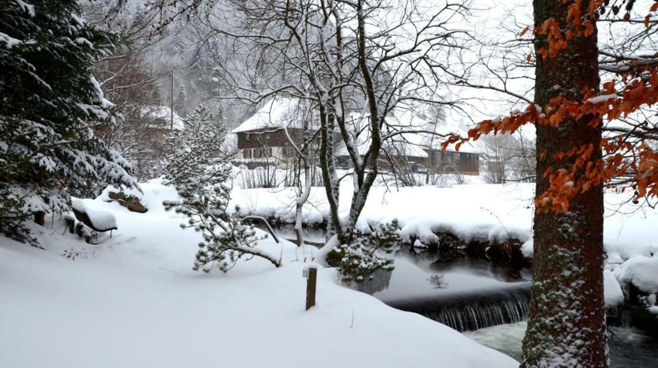 B1 Albmatte-Fewo Sauna, Hallenbad Aussenbecken Massagen Nebenan Menzenschwand-Hinterdorf Exteriér fotografie